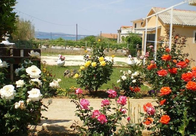 Апартаменты на Privlaka - Aпартамент в Привлака c Вид на море, балкон, Спутниковое / кабельное телевидение, WIFI (667-2) Апартаменты на Privlaka - Aпартамент в Привлака c Вид на море, балкон, Спутниковое / кабельное телевидение, WIFI (667-2)