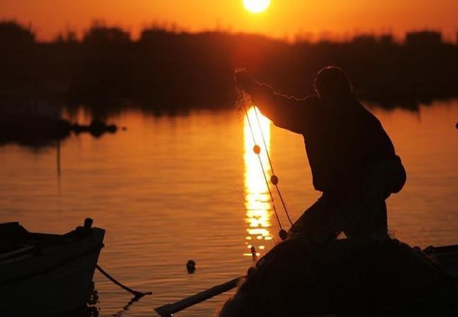 Апартаменты на Privlaka - Aпартамент в Привлака c Вид на море, балкон, Спутниковое / кабельное телевидение, WIFI (667-3) Апартаменты на Privlaka - Aпартамент в Привлака c Вид на море, балкон, Спутниковое / кабельное телевидение, WIFI (667-3)