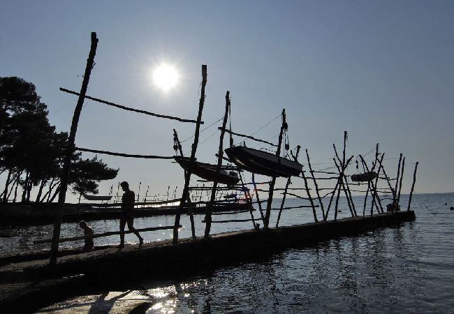 Апартаменты на Novigrad - Aпартамент в Новиград c терраса, Спутниковое / кабельное телевидение, WIFI, Балкон / Терраса (3663-1) Апартаменты на Novigrad - Aпартамент в Новиград c терраса, Спутниковое / кабельное телевидение, WIFI, Балкон / Терраса (3663-1)