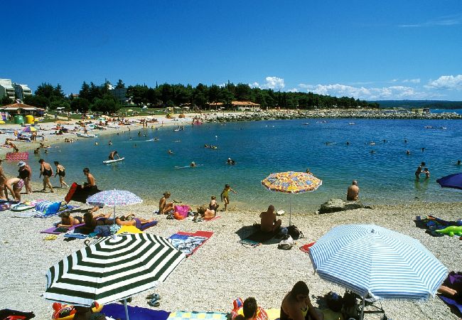 Апартаменты на Novigrad - Aпартамент в Новиград c терраса, Спутниковое / кабельное телевидение, WIFI, Балкон / Терраса (3663-1) Апартаменты на Novigrad - Aпартамент в Новиград c терраса, Спутниковое / кабельное телевидение, WIFI, Балкон / Терраса (3663-1)