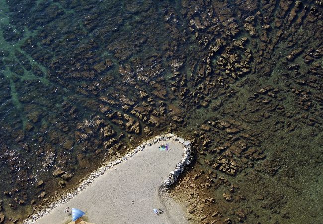 Апартаменты на Novigrad - Aпартамент в Новиград c терраса, Спутниковое / кабельное телевидение, WIFI, Балкон / Терраса (3663-2) Апартаменты на Novigrad - Aпартамент в Новиград c терраса, Спутниковое / кабельное телевидение, WIFI, Балкон / Терраса (3663-2)