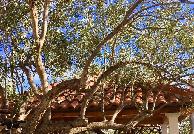 Апартаменты на Ražanj - Aпартамент в Ražanj c Вид на море, терраса, Спутниковое / кабельное телевидение, WIFI (3743-1) Апартаменты на Ražanj - Aпартамент в Ražanj c Вид на море, терраса, Спутниковое / кабельное телевидение, WIFI (3743-1)