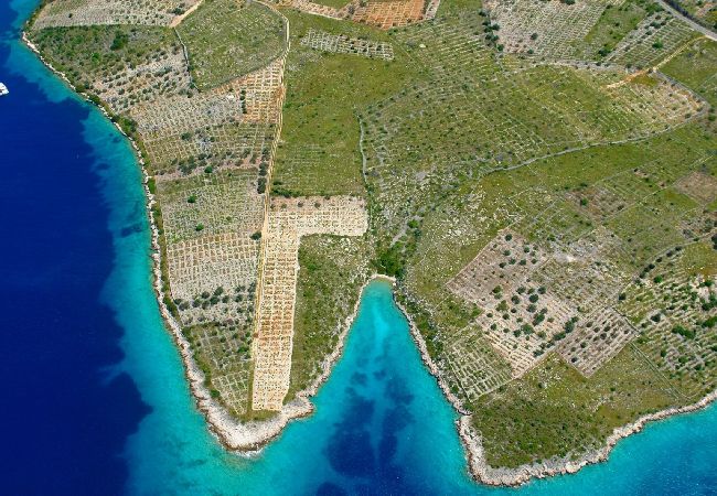 Апартаменты на Ražanj - Aпартамент в Ražanj c Вид на море, терраса, Спутниковое / кабельное телевидение, WIFI (3743-1) Апартаменты на Ražanj - Aпартамент в Ražanj c Вид на море, терраса, Спутниковое / кабельное телевидение, WIFI (3743-1)