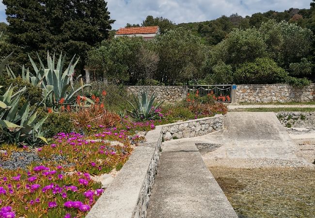 Апартаменты на Mali Lošinj - Aпартамент в Мали-Лошинь c Вид на море, терраса, Спутниковое / кабельное телевидение, WIFI (3780-2) Апартаменты на Mali Lošinj - Aпартамент в Мали-Лошинь c Вид на море, терраса, Спутниковое / кабельное телевидение, WIFI (3780-2)