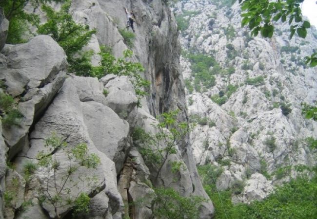 Апартаменты на Seline - Апартаменты для отдыха в Селине с видом на море, террасой, Wi-Fi, стиральной машиной (4209-2) Апартаменты на Seline - Апартаменты для отдыха в Селине с видом на море, террасой, Wi-Fi, стиральной машиной (4209-2)