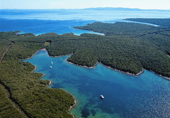 Апартаменты на Cres - Aпартамент в Црес c Вид на море, балкон, Спутниковое / кабельное телевидение, WIFI (4249-1) Апартаменты на Cres - Aпартамент в Црес c Вид на море, балкон, Спутниковое / кабельное телевидение, WIFI (4249-1)