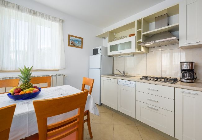 Апартаменты на Bašanija - Aпартамент в Башанија c Вид на море, терраса, Спутниковое / кабельное телевидение, WIFI (113-3) Апартаменты на Bašanija - Aпартамент в Башанија c Вид на море, терраса, Спутниковое / кабельное телевидение, WIFI (113-3)