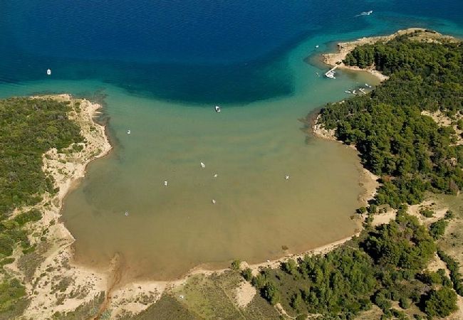 Апартаменты на Supetarska Draga - Aпартамент в Supetarska Draga c Вид на море, балкон, Спутниковое / кабельное телевидение, WIFI (4325-1) Апартаменты на Supetarska Draga - Aпартамент в Supetarska Draga c Вид на море, балкон, Спутниковое / кабельное телевидение, WIFI (4325-1)