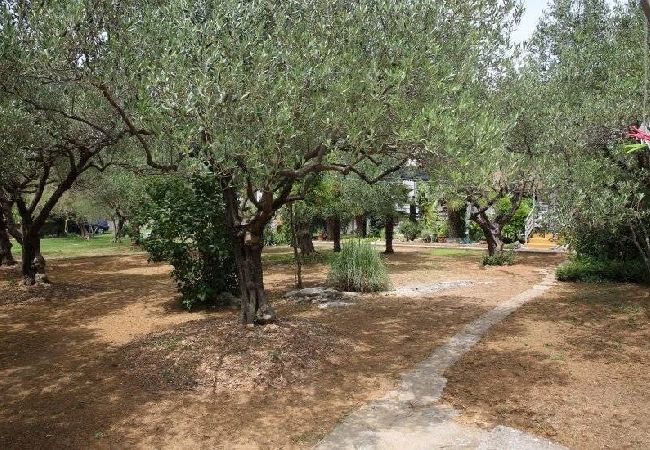 Апартаменты на Vodice - Квартира в Водице с террасой, кондиционером, Wi-Fi,  (4382-2) Апартаменты на Vodice - Квартира в Водице с террасой, кондиционером, Wi-Fi,  (4382-2)