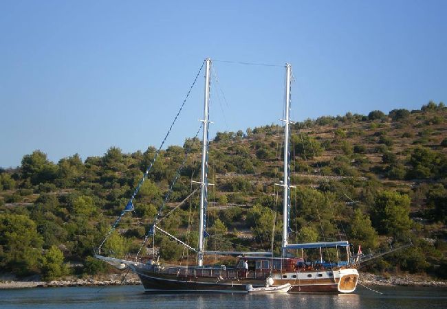 Дом на Okrug Gornji - Робинсон дом в Округ Горњи c Вид на море, терраса (4452-1) Дом на Okrug Gornji - Робинсон дом в Округ Горњи c Вид на море, терраса (4452-1)
