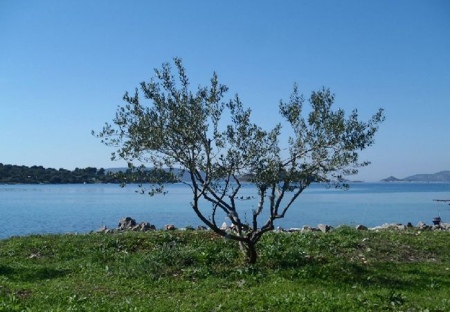 Дом на Okrug Gornji - Робинсон дом в Округ Горњи c Вид на море, терраса (4452-1) Дом на Okrug Gornji - Робинсон дом в Округ Горњи c Вид на море, терраса (4452-1)