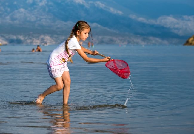 Апартаменты на Supetarska Draga - Aпартамент в Supetarska Draga c Вид на море, терраса, Спутниковое / кабельное телевидение, WIFI (4552-6) Апартаменты на Supetarska Draga - Aпартамент в Supetarska Draga c Вид на море, терраса, Спутниковое / кабельное телевидение, WIFI (4552-6)
