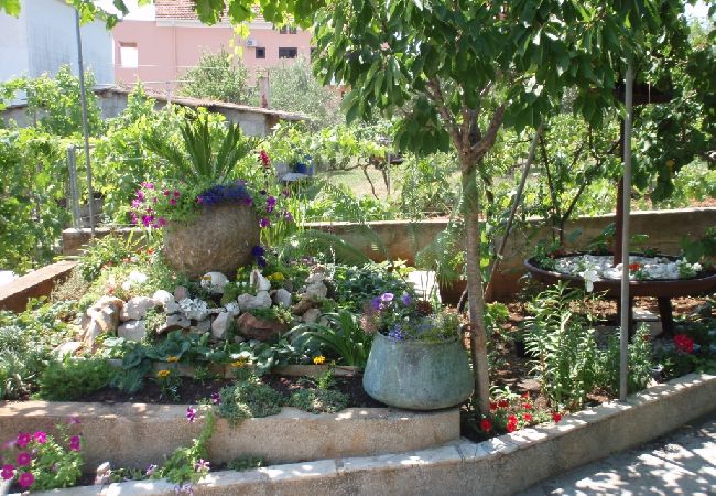 Апартаменты на Kukljica - Aпартамент в Кукљица c Вид на море, терраса, Спутниковое / кабельное телевидение, WIFI (4567-2) Апартаменты на Kukljica - Aпартамент в Кукљица c Вид на море, терраса, Спутниковое / кабельное телевидение, WIFI (4567-2)