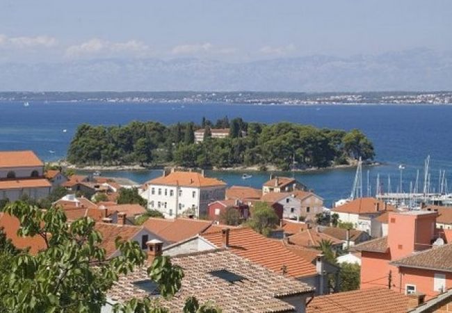 Дом на Preko - Ferienhaus in Preko mit Meerblick, Terrasse, Klimaanlage, W-LAN (4571-1) Дом на Preko - Ferienhaus in Preko mit Meerblick, Terrasse, Klimaanlage, W-LAN (4571-1)