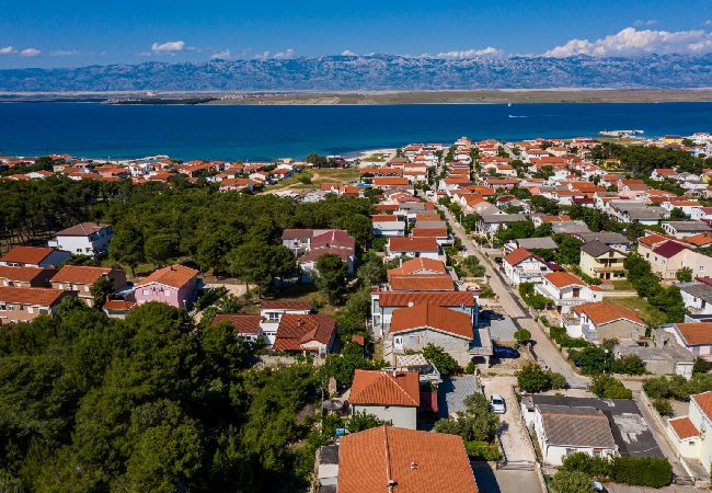 Апартаменты на Vir - Aпартамент в Вир c терраса, Спутниковое / кабельное телевидение, WIFI (4592-1) Апартаменты на Vir - Aпартамент в Вир c терраса, Спутниковое / кабельное телевидение, WIFI (4592-1)