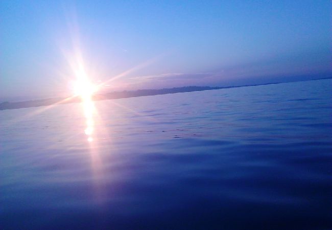 Апартаменты на Vir - Ferienwohnung in Vir mit Terrasse, Klimaanlage, W-LAN (4594-1) Апартаменты на Vir - Ferienwohnung in Vir mit Terrasse, Klimaanlage, W-LAN (4594-1)