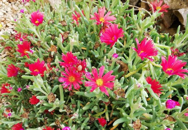 Апартаменты на Vir - Ferienwohnung in Vir mit Terrasse, Klimaanlage, W-LAN (4594-1) Апартаменты на Vir - Ferienwohnung in Vir mit Terrasse, Klimaanlage, W-LAN (4594-1)