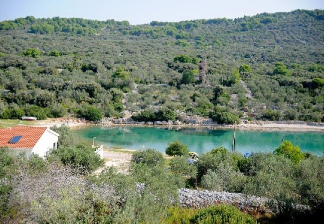 Апартаменты на Kali - Aпартамент в Кали c Вид на море, терраса, Спутниковое / кабельное телевидение, WIFI (4672-1) Апартаменты на Kali - Aпартамент в Кали c Вид на море, терраса, Спутниковое / кабельное телевидение, WIFI (4672-1)