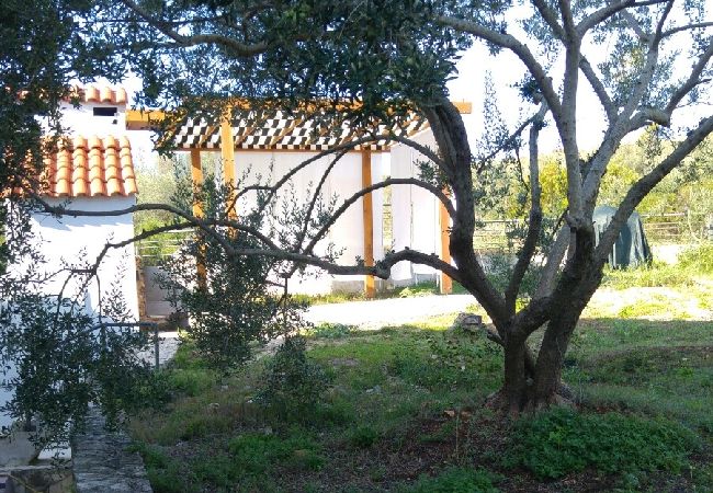 Апартаменты на Kali - Aпартамент в Кали c Вид на море, терраса, Спутниковое / кабельное телевидение, WIFI (4672-1) Апартаменты на Kali - Aпартамент в Кали c Вид на море, терраса, Спутниковое / кабельное телевидение, WIFI (4672-1)