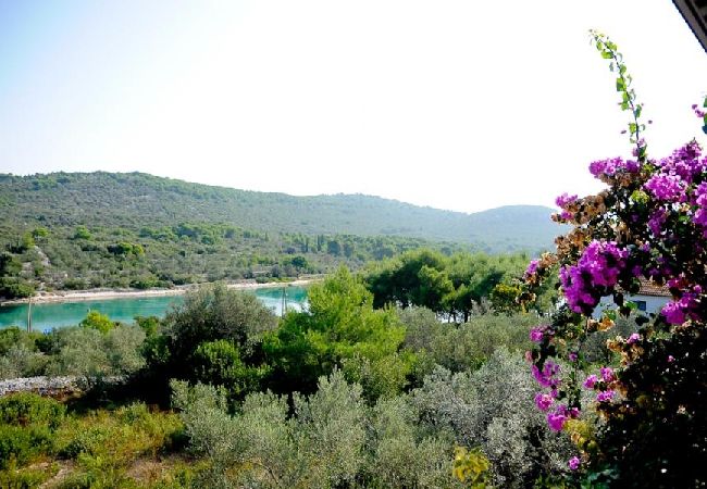 Апартаменты на Kali - Aпартамент в Кали c Вид на море, терраса, Спутниковое / кабельное телевидение, WIFI (4672-2) Апартаменты на Kali - Aпартамент в Кали c Вид на море, терраса, Спутниковое / кабельное телевидение, WIFI (4672-2)