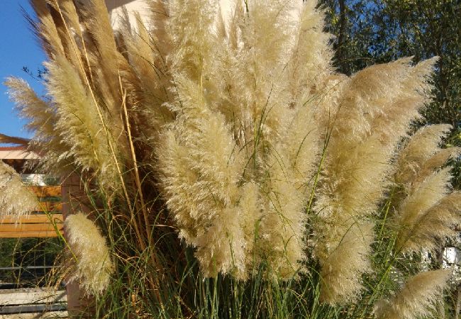 Апартаменты на Kali - Aпартамент в Кали c Вид на море, терраса, Спутниковое / кабельное телевидение, WIFI (4672-2) Апартаменты на Kali - Aпартамент в Кали c Вид на море, терраса, Спутниковое / кабельное телевидение, WIFI (4672-2)