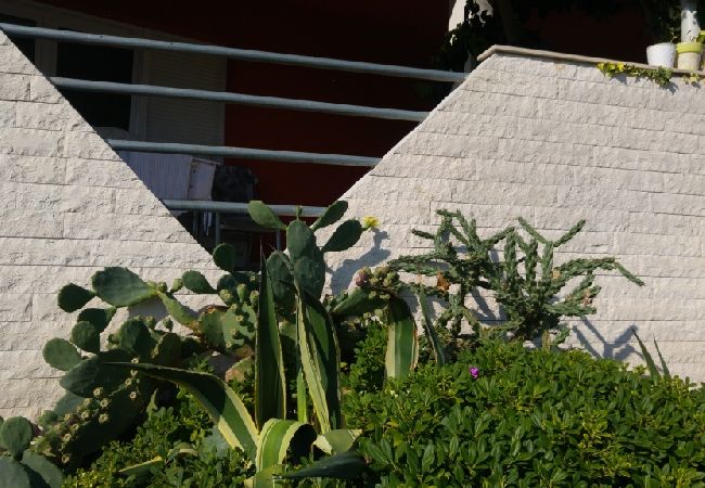 Апартаменты на Kali - Aпартамент в Кали c Вид на море, терраса, Спутниковое / кабельное телевидение, WIFI (4672-3) Апартаменты на Kali - Aпартамент в Кали c Вид на море, терраса, Спутниковое / кабельное телевидение, WIFI (4672-3)