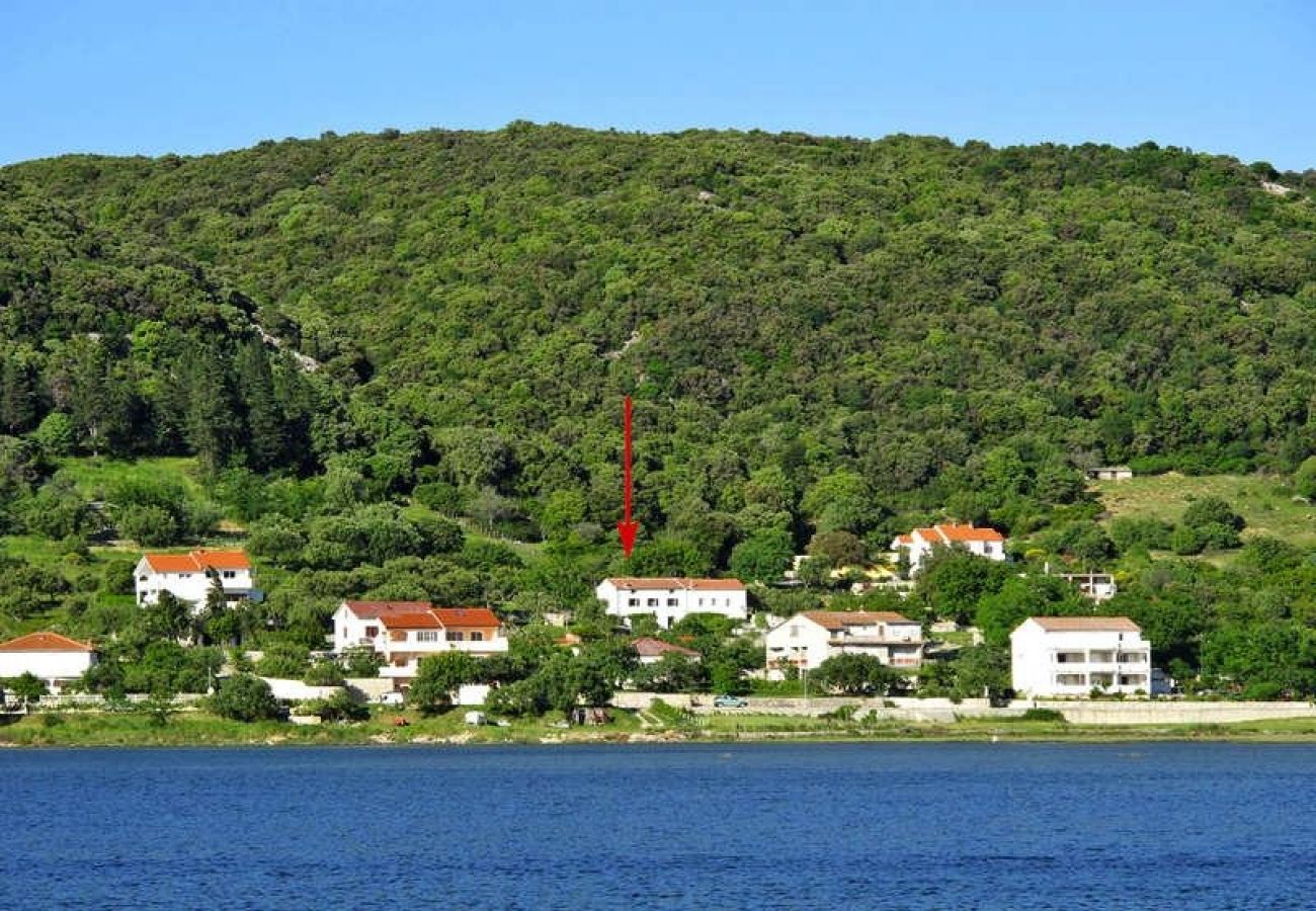 Дом на Supetarska Draga - дом отдыха в Supetarska Draga c терраса, WIFI (4544-1)