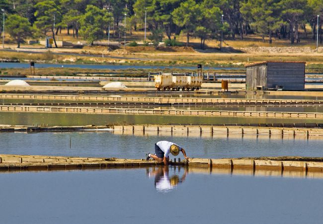 Дом на Vir - дом отдыха в Вир c терраса, Спутниковое / кабельное телевидение, WIFI, Балкон / Терраса (4740-1) Дом на Vir - дом отдыха в Вир c терраса, Спутниковое / кабельное телевидение, WIFI, Балкон / Терраса (4740-1)