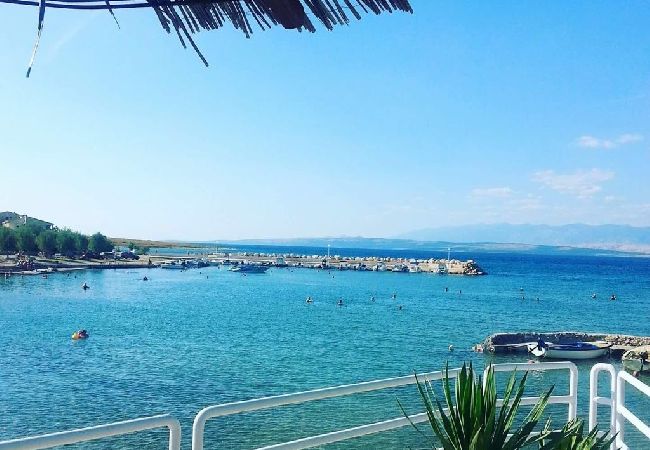 Апартаменты на Vir - Aпартамент в Вир c балкон, Спутниковое / кабельное телевидение, WIFI, Балкон / Терраса (4762-1) Апартаменты на Vir - Aпартамент в Вир c балкон, Спутниковое / кабельное телевидение, WIFI, Балкон / Терраса (4762-1)