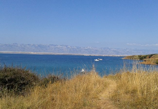 Апартаменты на Vir - Aпартамент в Вир c балкон, Спутниковое / кабельное телевидение, WIFI, Балкон / Терраса (4762-1) Апартаменты на Vir - Aпартамент в Вир c балкон, Спутниковое / кабельное телевидение, WIFI, Балкон / Терраса (4762-1)