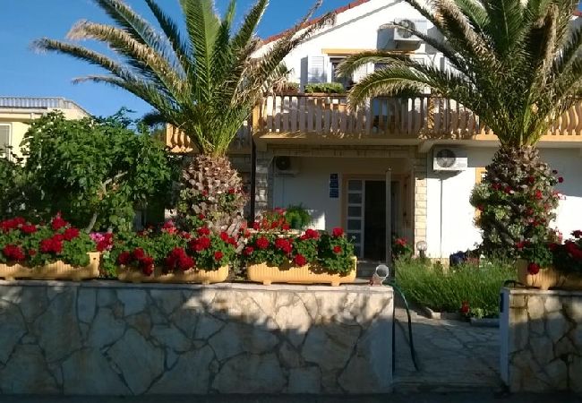 Квартира-студия на Vir - Studioapartment in Vir mit Balkon, Klimaanlage, W-LAN, Waschmaschine (4776-3) Квартира-студия на Vir - Studioapartment in Vir mit Balkon, Klimaanlage, W-LAN, Waschmaschine (4776-3)