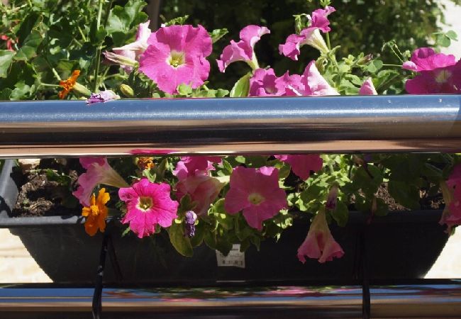 Апартаменты на Slatine - Aпартамент в Слатине c Вид на море, балкон, Спутниковое / кабельное телевидение, WIFI (4784-1) Апартаменты на Slatine - Aпартамент в Слатине c Вид на море, балкон, Спутниковое / кабельное телевидение, WIFI (4784-1)