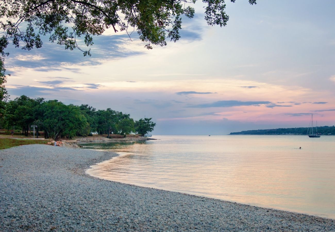 Апартаменты на Porec - Aпартамент в Пореч c балкон, Спутниковое / кабельное телевидение, Балкон / Терраса (4400-11)