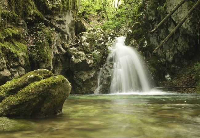 Апартаменты на Opatija - Aпартамент в Опатия c Вид на море, балкон, Спутниковое / кабельное телевидение, WIFI (4812-2) Апартаменты на Opatija - Aпартамент в Опатия c Вид на море, балкон, Спутниковое / кабельное телевидение, WIFI (4812-2)