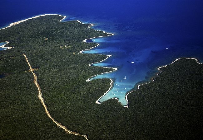 Апартаменты на Nerezine - Aпартамент в Нерезине c Спутниковое / кабельное телевидение, WIFI, Балкон / Терраса, инвалидности (4827-2) Апартаменты на Nerezine - Aпартамент в Нерезине c Спутниковое / кабельное телевидение, WIFI, Балкон / Терраса, инвалидности (4827-2)