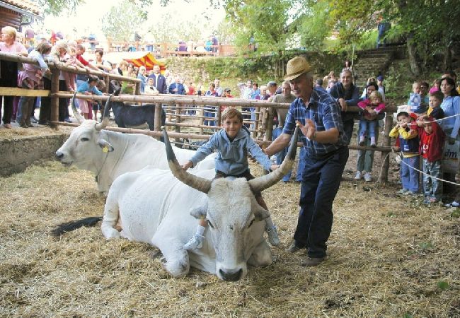 Апартаменты на Icici - Apartment in Ičići with Seaview, Terrace, WIFI (4870-1) Апартаменты на Icici - Apartment in Ičići with Seaview, Terrace, WIFI (4870-1)