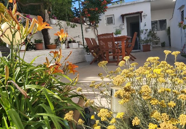 Квартира-студия на Hvar - Studioapartment in Hvar-Stadt mit Terrasse, Klimaanlage, W-LAN, Waschmaschine (4858-1) Квартира-студия на Hvar - Studioapartment in Hvar-Stadt mit Terrasse, Klimaanlage, W-LAN, Waschmaschine (4858-1)