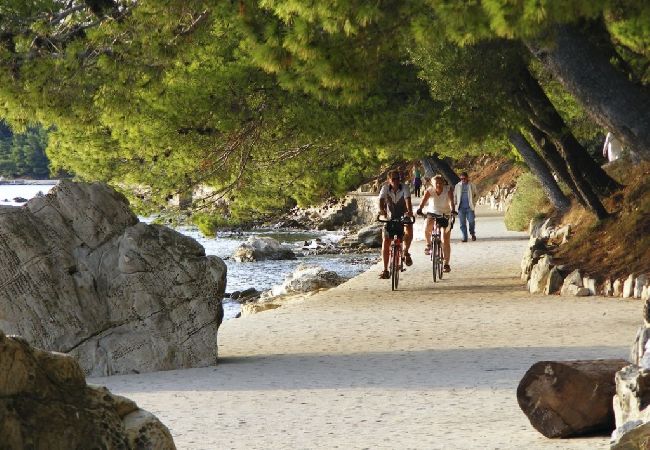 Апартаменты на Banjol - Aпартамент в Banjol c Вид на море, терраса, Спутниковое / кабельное телевидение, WIFI (4883-1) Апартаменты на Banjol - Aпартамент в Banjol c Вид на море, терраса, Спутниковое / кабельное телевидение, WIFI (4883-1)