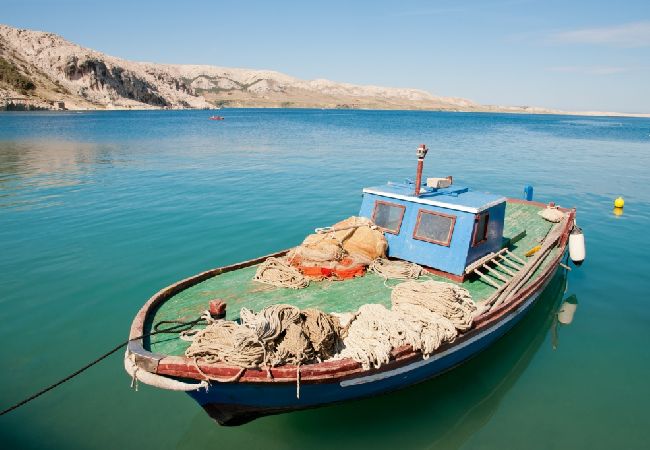 Апартаменты на Metajna - Aпартамент в Metajna c балкон, Спутниковое / кабельное телевидение, WIFI (4890-3) Апартаменты на Metajna - Aпартамент в Metajna c балкон, Спутниковое / кабельное телевидение, WIFI (4890-3)