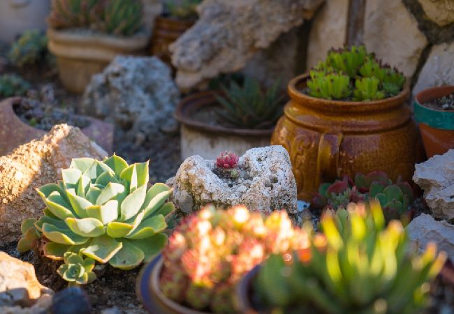 Апартаменты на Kampor - Aпартамент в Кампор c Вид на море, балкон, Спутниковое / кабельное телевидение, WIFI (4838-2) Апартаменты на Kampor - Aпартамент в Кампор c Вид на море, балкон, Спутниковое / кабельное телевидение, WIFI (4838-2)