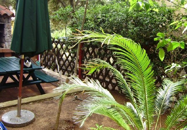 Апартаменты на Mali Lošinj - Квартира в Мали Лошинь с террасой, кондиционером, Wi-Fi (4913-1) Апартаменты на Mali Lošinj - Квартира в Мали Лошинь с террасой, кондиционером, Wi-Fi (4913-1)