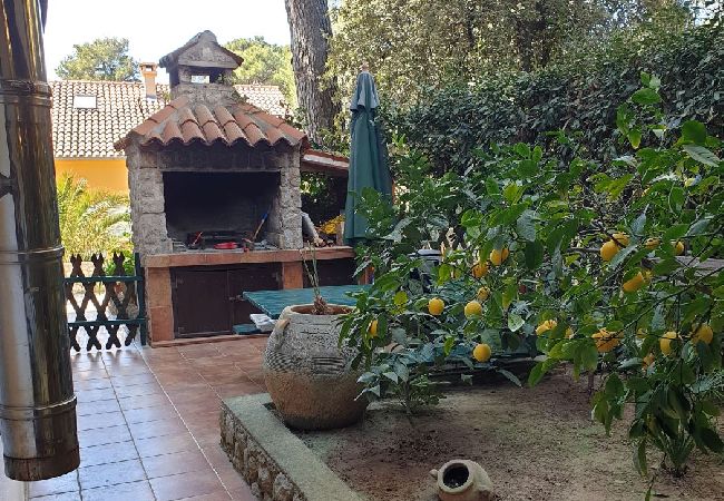 Апартаменты на Mali Lošinj - Квартира в Мали Лошинь с террасой, кондиционером, Wi-Fi (4913-1) Апартаменты на Mali Lošinj - Квартира в Мали Лошинь с террасой, кондиционером, Wi-Fi (4913-1)