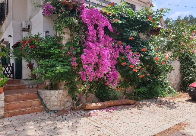 Апартаменты на Mali Lošinj - Квартира в Мали Лошинь с террасой, кондиционером, Wi-Fi (4913-1) Апартаменты на Mali Lošinj - Квартира в Мали Лошинь с террасой, кондиционером, Wi-Fi (4913-1)