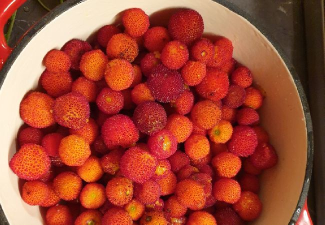 Апартаменты на Mali Lošinj - Квартира в Мали Лошинь с террасой, кондиционером, Wi-Fi (4913-1) Апартаменты на Mali Lošinj - Квартира в Мали Лошинь с террасой, кондиционером, Wi-Fi (4913-1)