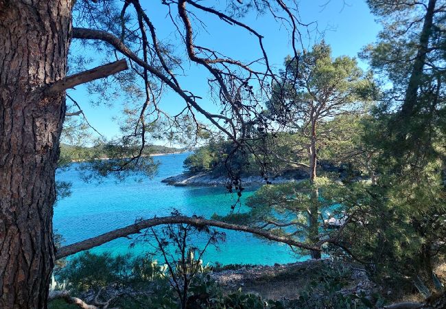 Квартира-студия на Mali Lošinj - Квартира-студия в Мали Лошинь с террасой, кондиционером, Wi-Fi (4913-2) Квартира-студия на Mali Lošinj - Квартира-студия в Мали Лошинь с террасой, кондиционером, Wi-Fi (4913-2)