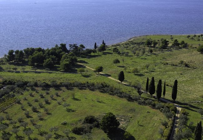 Апартаменты на Zambratija - Aпартамент в Замбратија c Вид на море, балкон, Спутниковое / кабельное телевидение, WIFI (4961-2) Апартаменты на Zambratija - Aпартамент в Замбратија c Вид на море, балкон, Спутниковое / кабельное телевидение, WIFI (4961-2)