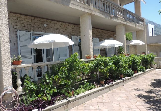 Rent by room на Brela - Комната в Брела c Вид на море, терраса, Спутниковое / кабельное телевидение, WIFI (4947-2) Rent by room на Brela - Комната в Брела c Вид на море, терраса, Спутниковое / кабельное телевидение, WIFI (4947-2)