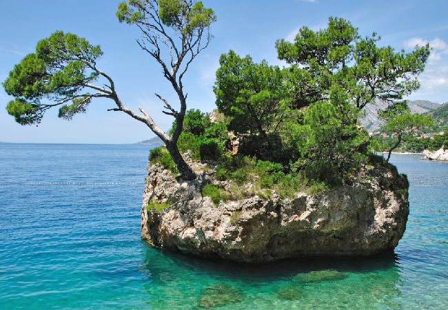 Rent by room на Brela - Комната в Брела c Вид на море, терраса, Спутниковое / кабельное телевидение, WIFI (4947-2) Rent by room на Brela - Комната в Брела c Вид на море, терраса, Спутниковое / кабельное телевидение, WIFI (4947-2)