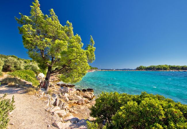 Апартаменты на Murter - Aпартамент в Муртер c Вид на море, терраса, Спутниковое / кабельное телевидение, WIFI (5026-1) Апартаменты на Murter - Aпартамент в Муртер c Вид на море, терраса, Спутниковое / кабельное телевидение, WIFI (5026-1)