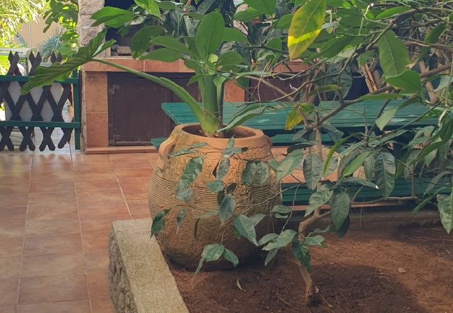 Апартаменты на Mali Lošinj - Apartment in Mali Lošinj with Terrace, Air condition, WIFI, Washing machine (4913-3) Апартаменты на Mali Lošinj - Apartment in Mali Lošinj with Terrace, Air condition, WIFI, Washing machine (4913-3)